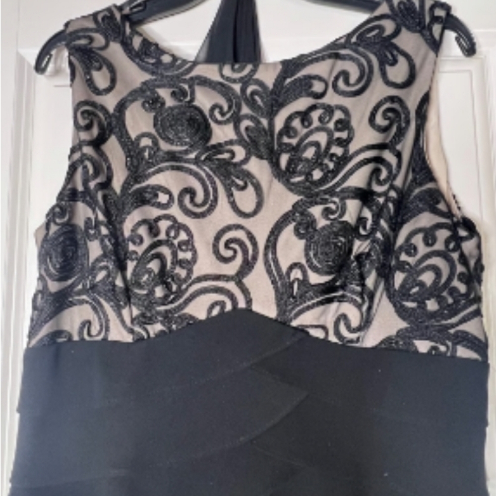 Jessica Howard Gown with Nude lining, Size 10